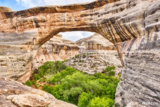 Bild på Sipapu Bridge